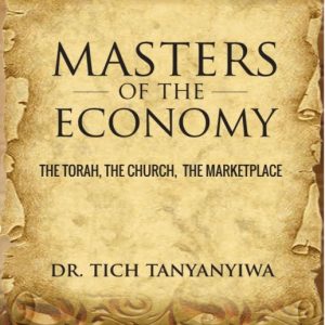 Masters of the Economy – Tich Tanyanyiwa