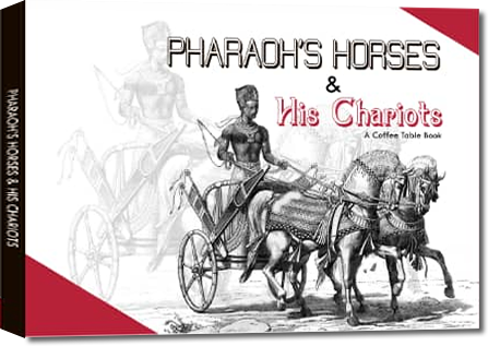 Pharaoh’s Horses & His Chariots – Marah Saruchera