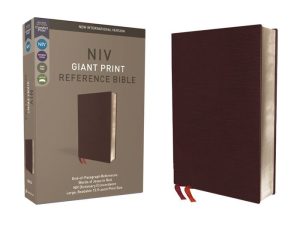 NIV, Reference Bible, Giant Print, Hardcover, Red Letter, Comfort
