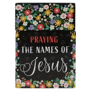 Praying the Names of Jesus Boxed Cards - Image 2