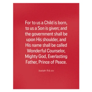 Would You Rather?: Bible-Based Conversation Starters for Families Boxed Cards - Image 2