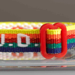 What Would Jesus Do Multi Colour (Wriststrap) - Image 2